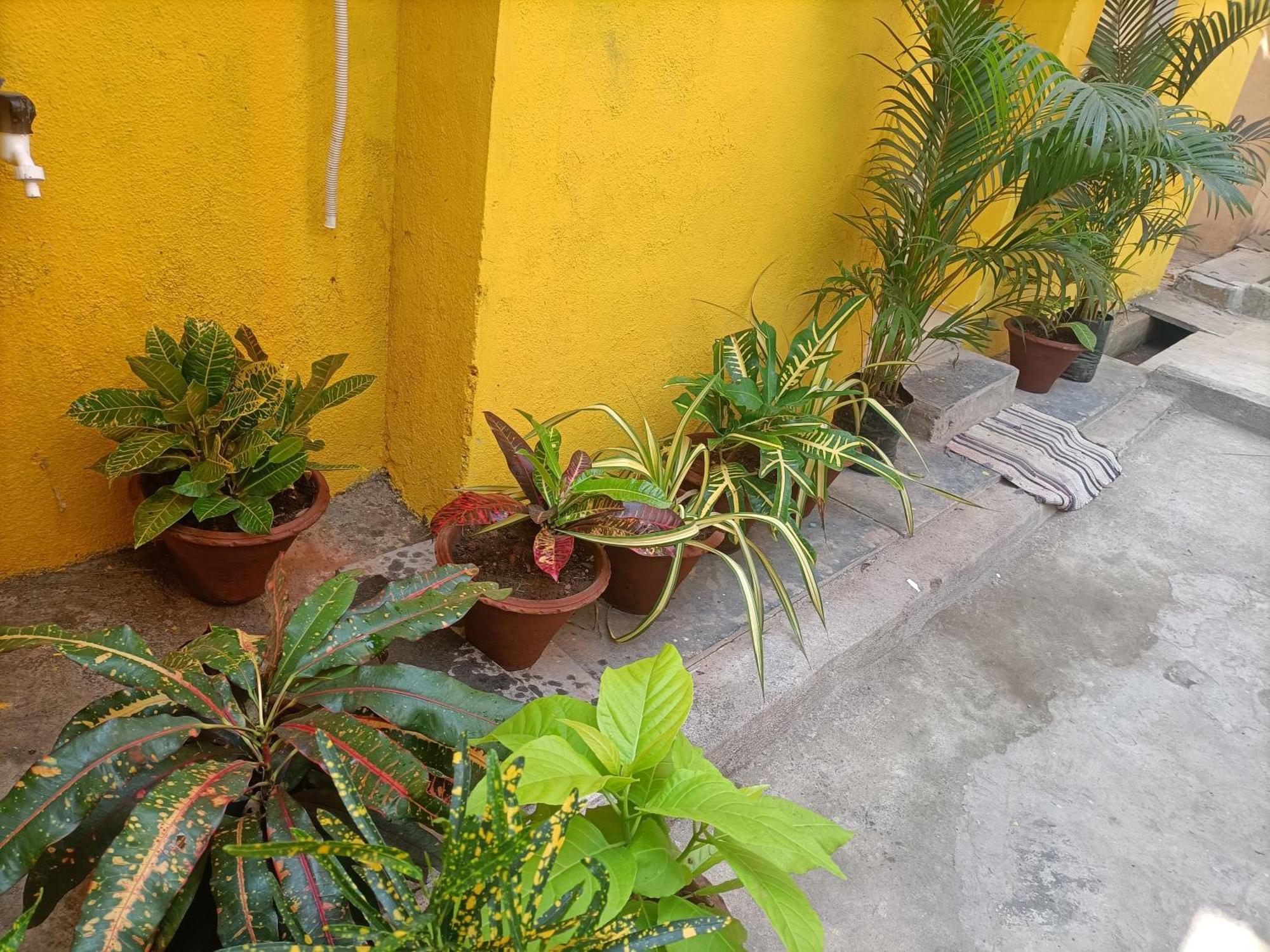 Nks Homestay Pondicherry Eksteriør bilde